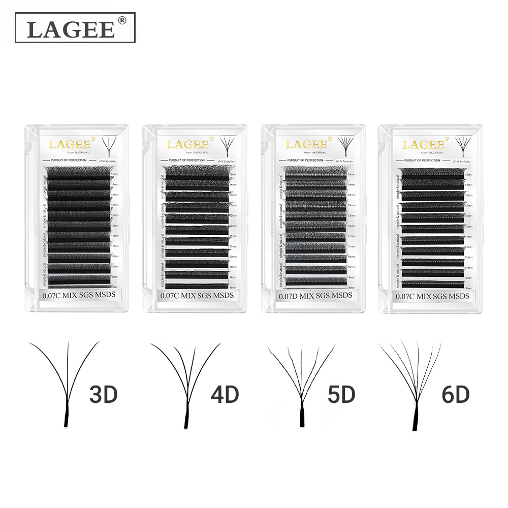 LAGEE 3D 4D 5D 6D W Shape Eyel - đánh giá và giá Eyelash Extension Course