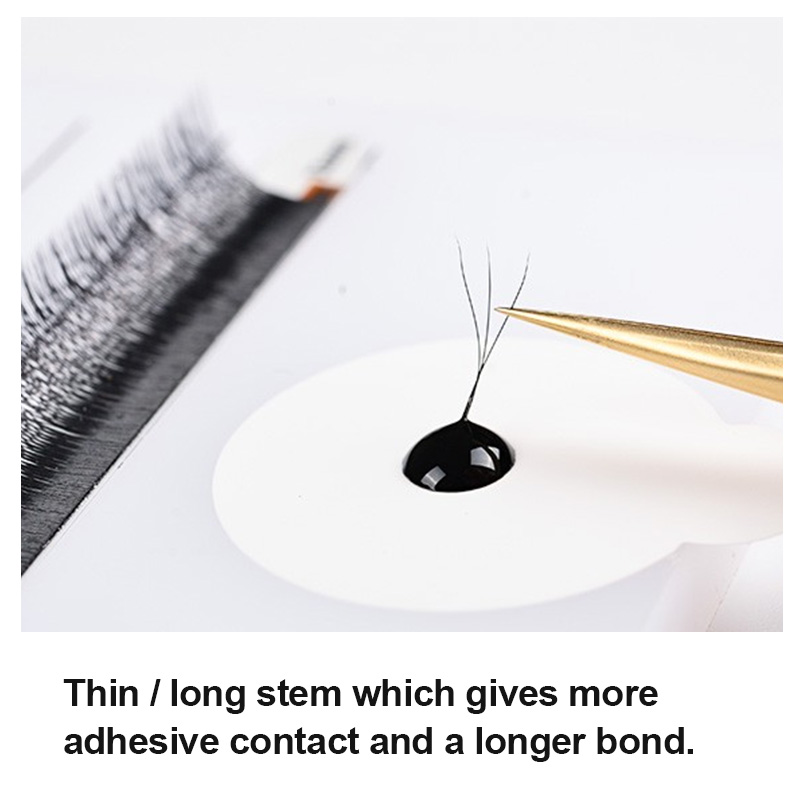 LAGEE 3D 4D 5D 6D W Shape Eyel - đánh giá và giá Eyelash Extension Course